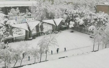 اختلال در شهر؛ شور در دانشگاه