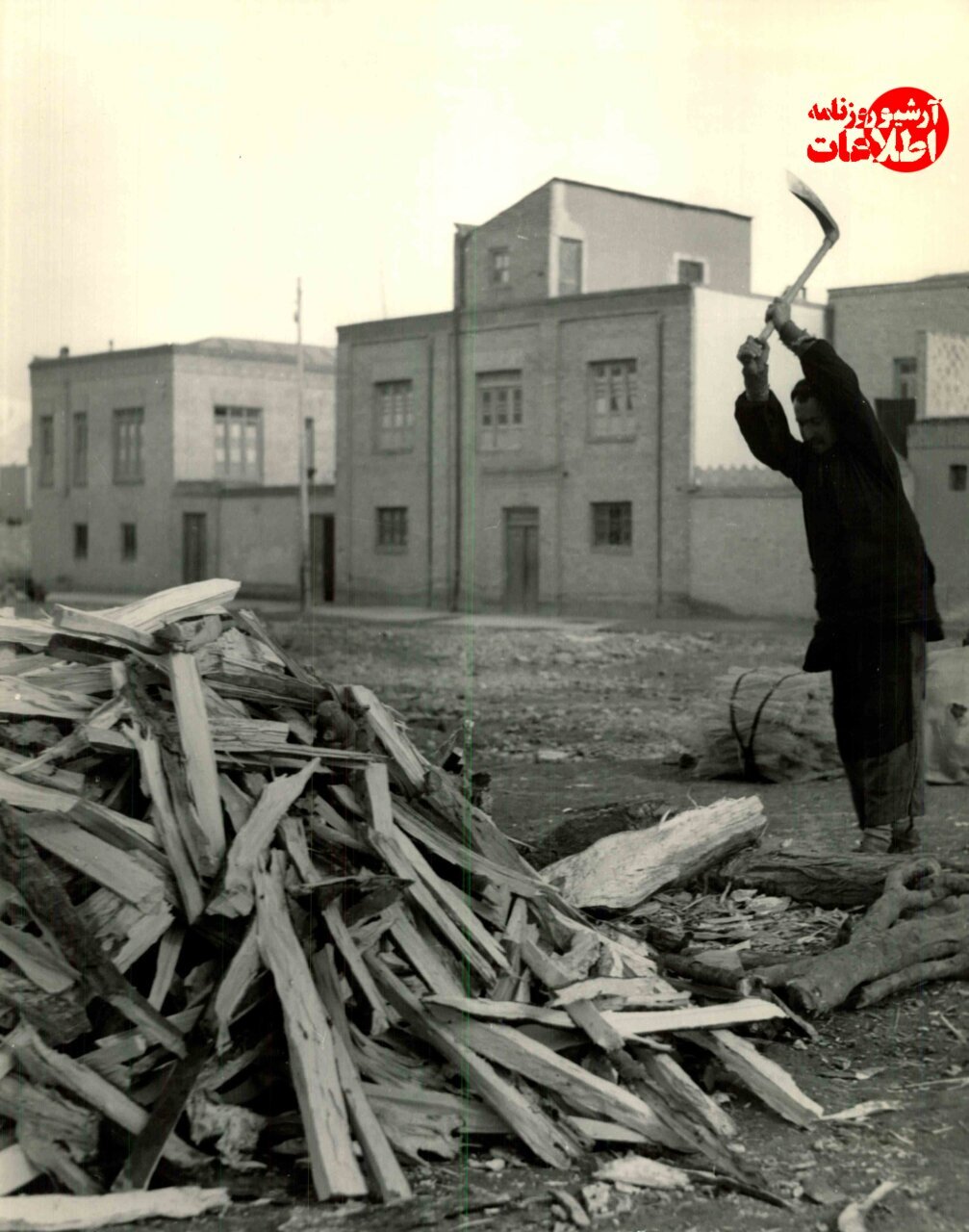 عکس/ آخرین هیزمفروشان تهران