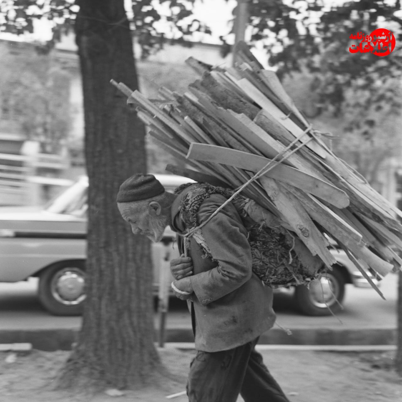 عکس‌/ آخرین هیزم‌فروشان تهران