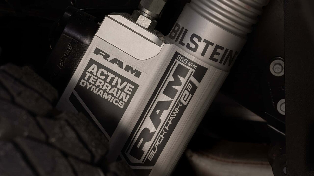 سلطان وانت‌ها دوباره برگشت /عکس