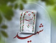 خبرگزاری تسنیم: در درگیری های شهرستان ملکشاهی، لطیف کریمی از پیشکسوتان سپاه به شهادت رسید + جزئیات