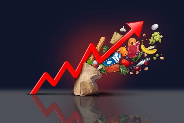 هشدار نسبت به حذف اقلام غذایی با افزایش تورم؛ غذا به کالای لوکس تبدیل شده/ کالابرگ بدون ثبات اقتصادی کارایی ندارد/ پای مرغ یا سویا بجای گوشت!