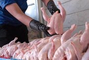 خرد کردن مرغ و ماهی در مغازه‌های زنجان ممنوع شد