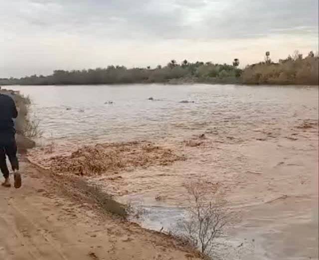 سیلبند شکست/ زمینهای کشاورزی مردم در این منطقه زیر آب رفت