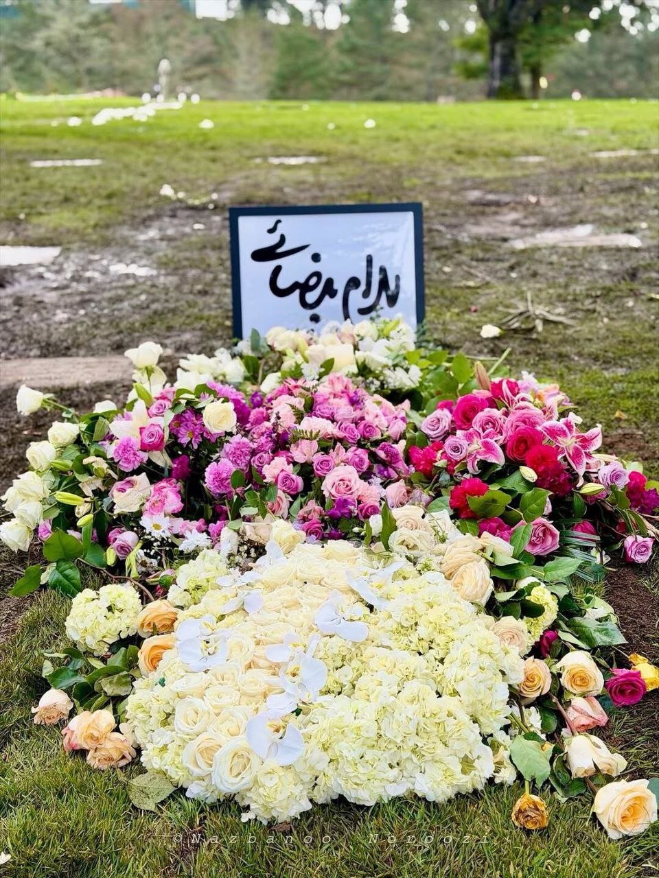 عکس | قابی خاص از مزار بهرام بیضایی در آمریکا