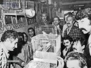 عکس‌ها و گزارش خواندنی از قناری‌بازان مشهور ایرانی در سال ۱۳۵۴