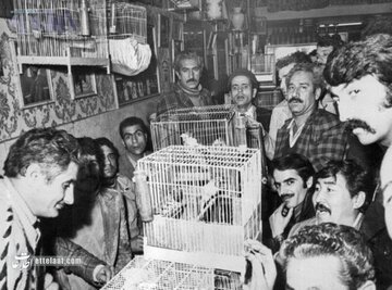 عکس‌ها و گزارش خواندنی از قناری‌بازان مشهور ایرانی در سال ۱۳۵۴