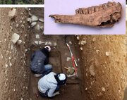 دره خرم آباد کانون فعالیت‌های انسانی از ۵۰ هزار سال  قبل