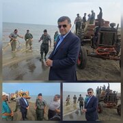 صید ۱۵۵ تنی ماهیان استخوانی در ساحل کیاشهر