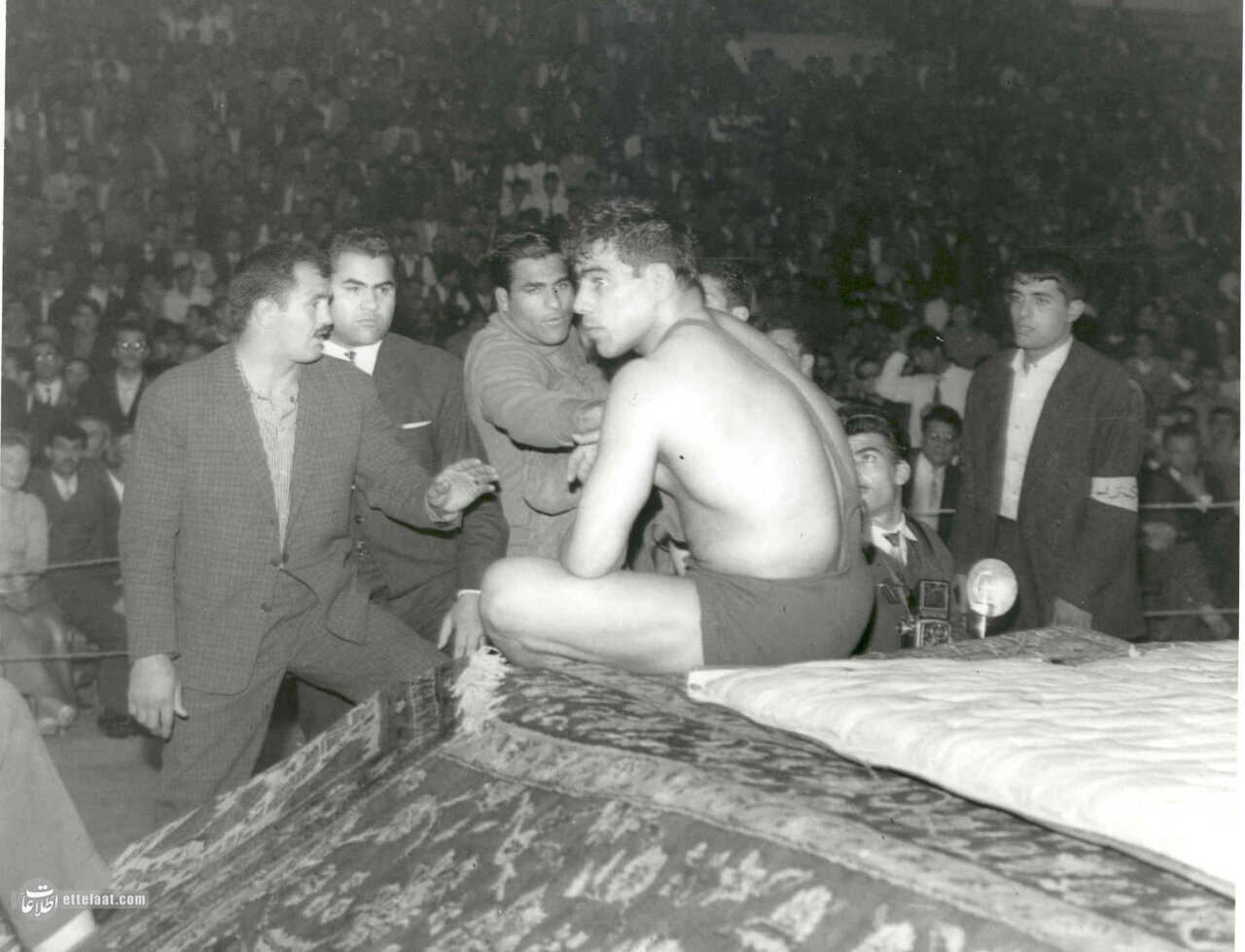 ۲۰ عکس تماشایی از جهان پهلوان تختی که تاکنون ندیده‌اید!