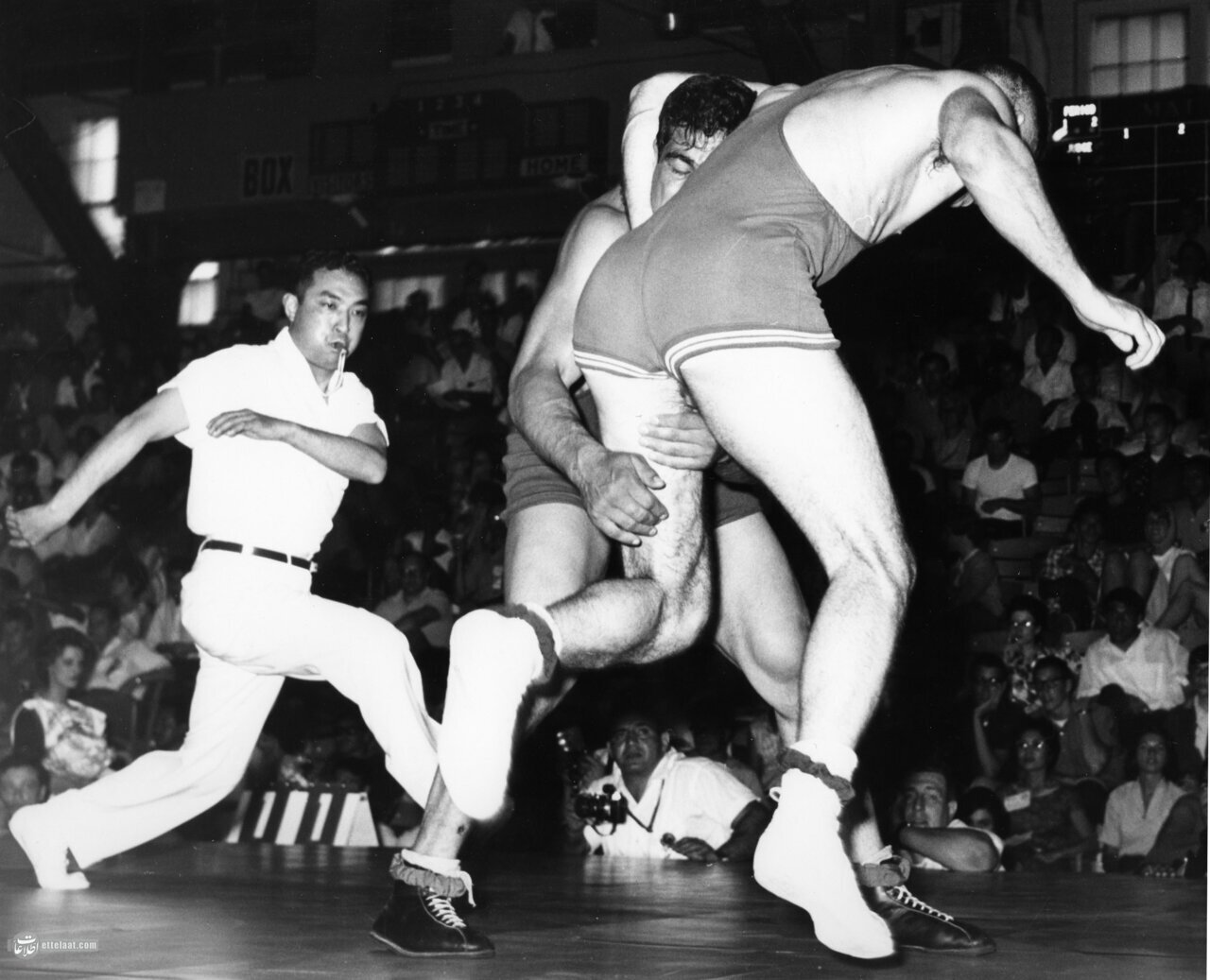 ۲۰ عکس تماشایی از جهان پهلوان تختی که تاکنون ندیده‌اید!