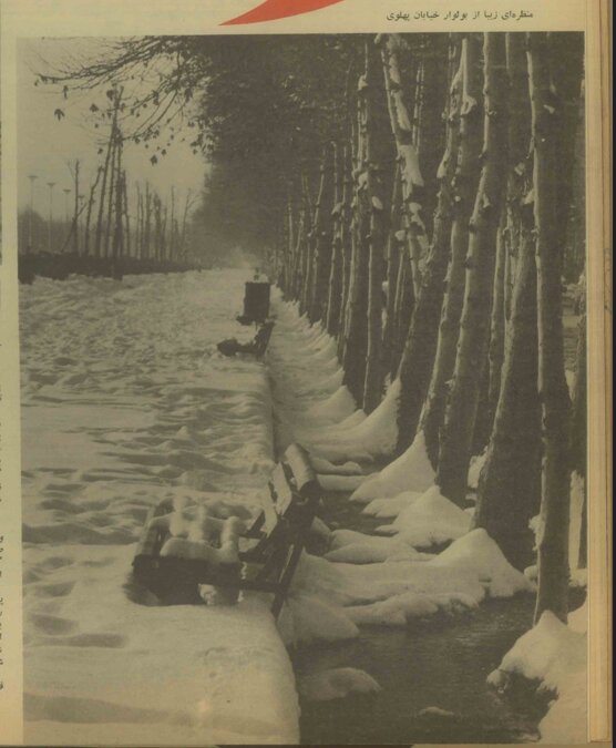 عکسهایی از تهران در دیماه ۱۳۵۰ زیر پوشش سنگین برف