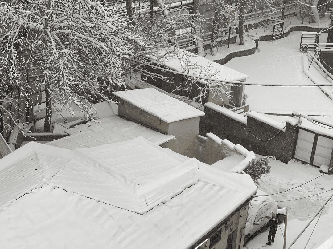 تصاویر | برف ۲۰ سانتیمتری شمال تهران را پوشاند