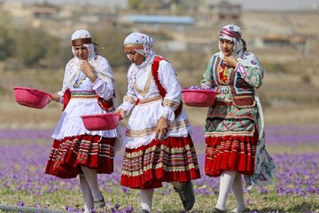 برنامه گلستان برای مقابله با خامفروشی و افزایش درآمد روستاها برنامه گلستان برای مقابله با خامفروشی و افزایش درآمد روستاها