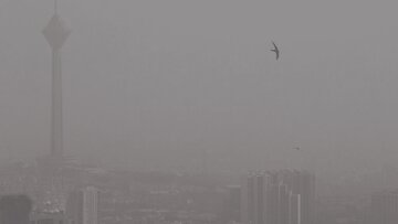 هوای کلانشهر مشهر در مرز آلودگی هوای کلانشهر مشهر در مرز آلودگی