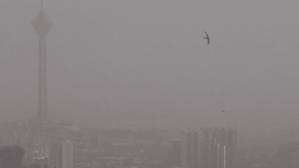 سازمان هواشناسی استان تهران اعلامیهای را صادر کرد. سازمان هواشناسی استان تهران اعلامیهای را صادر کرد.