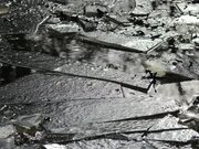 انفجارهای مرموز در دل شب؛ «یخ‌لرزه» چیست؟