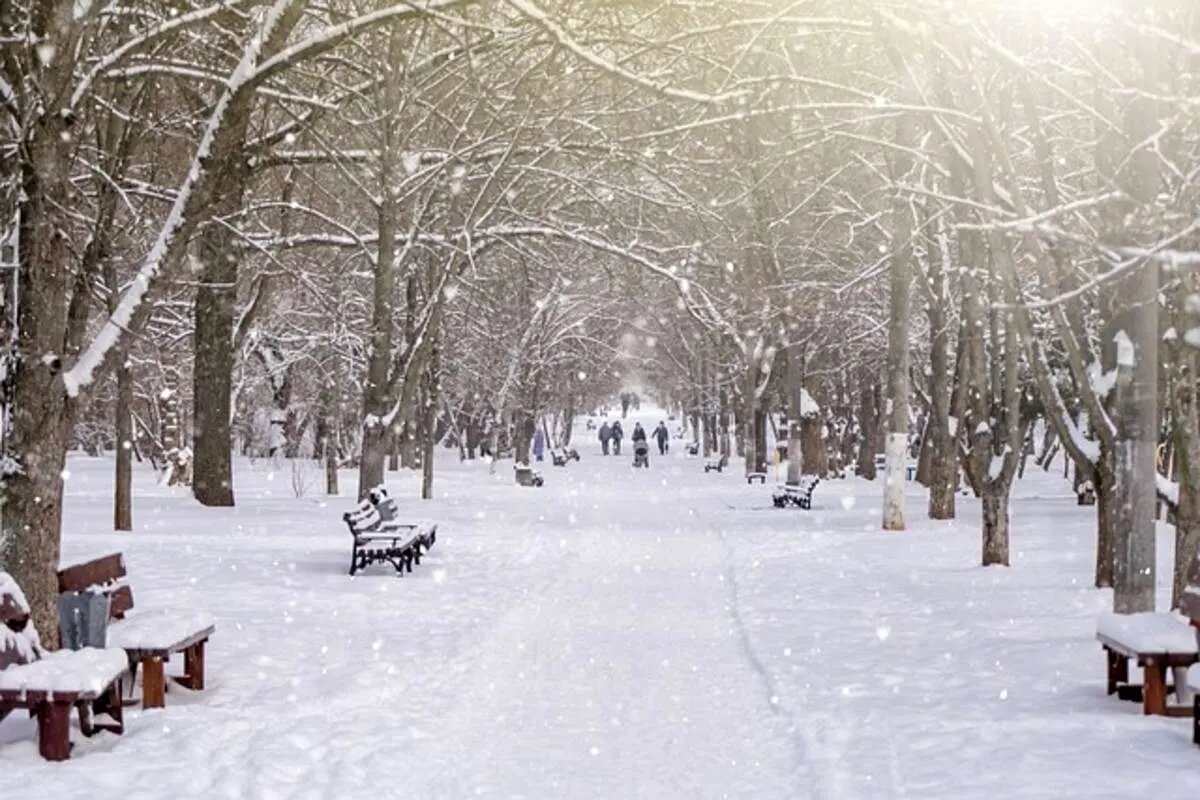 بارش برف و باران در پایتخت/ جزئیات کامل بارش برف و باران در پایتخت/ جزئیات کامل