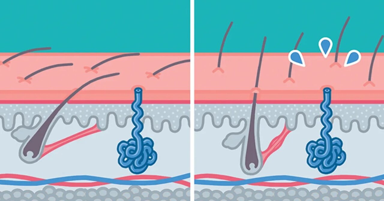 وقتی دچار حملات هراس میشویم، چه اتفاقی در بدنمان میافتد؟/ اینفوگرافیک راهکارهای مقابله