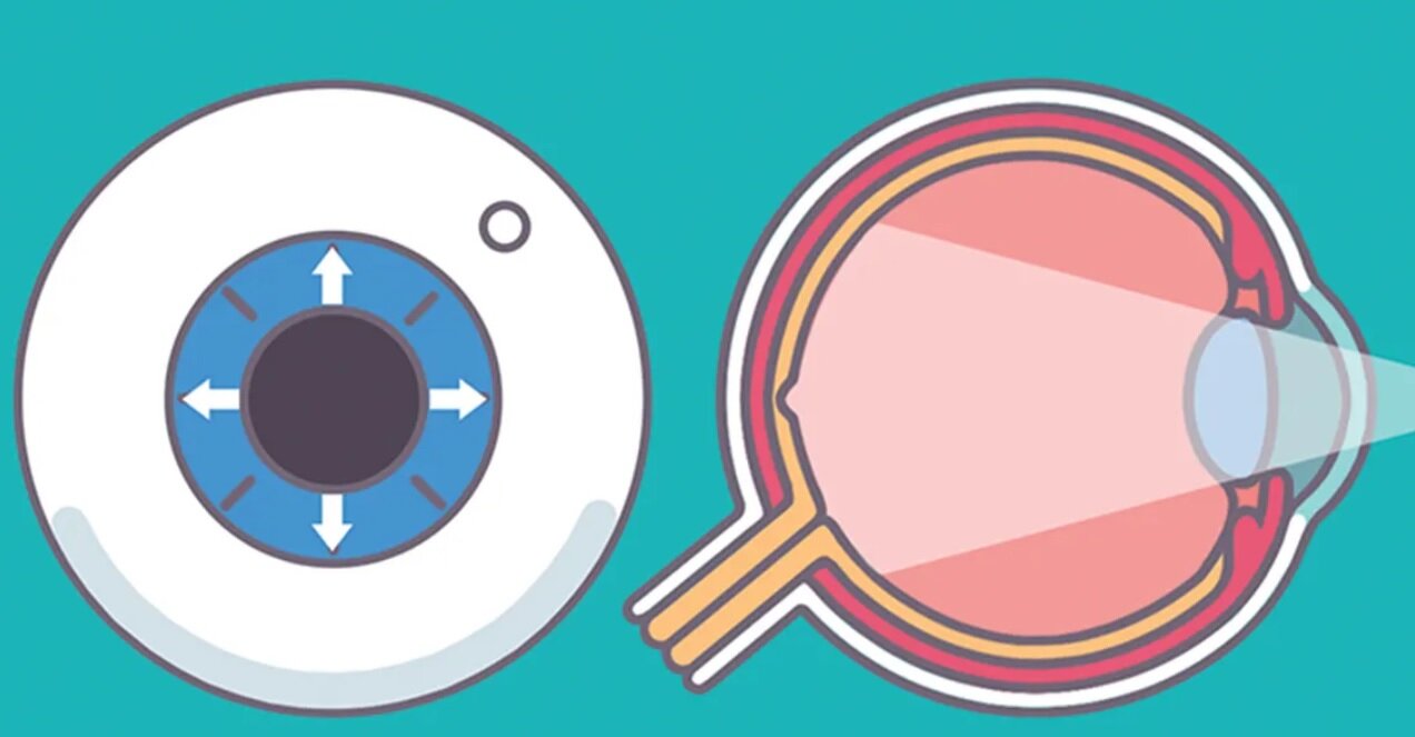 وقتی دچار حملات هراس میشویم، چه اتفاقی در بدنمان میافتد؟/ اینفوگرافیک راهکارهای مقابله