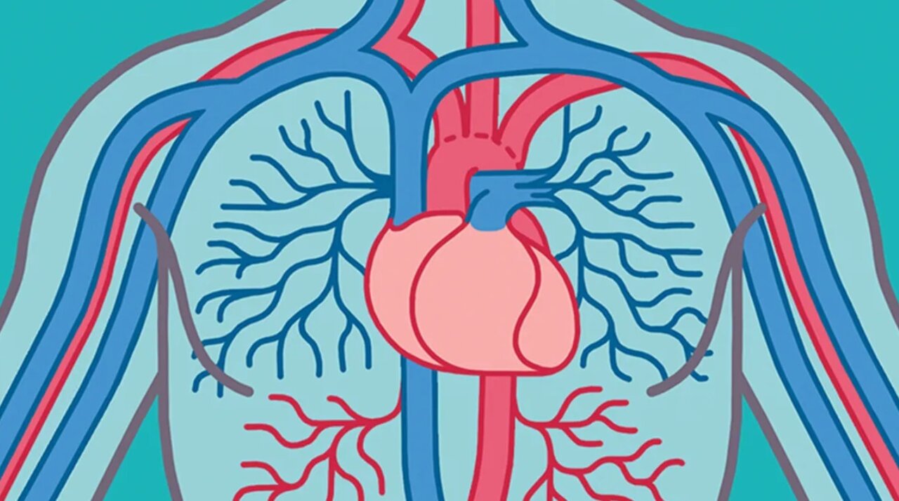 وقتی دچار حملات هراس میشویم، چه اتفاقی در بدنمان میافتد؟/ اینفوگرافیک راهکارهای مقابله