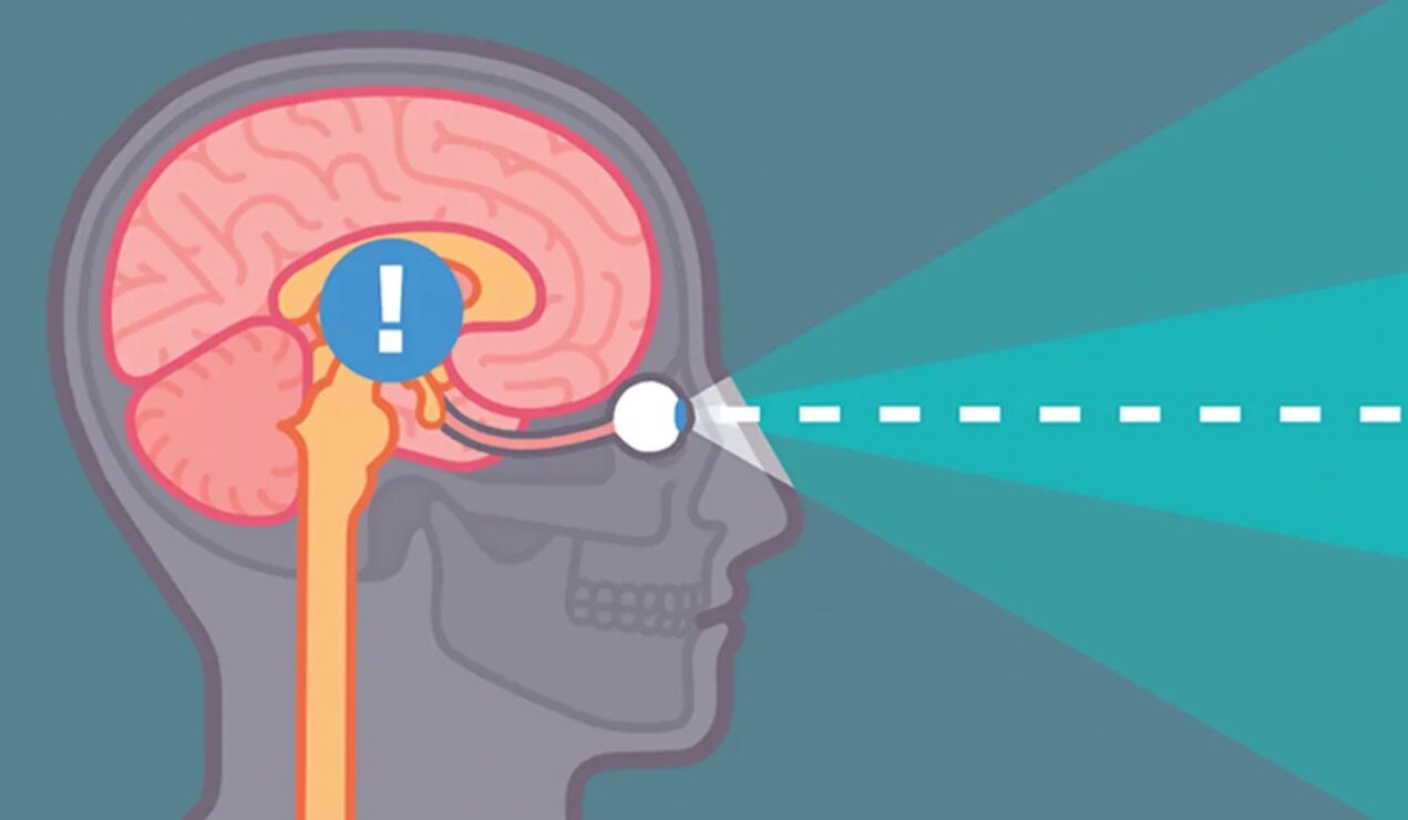 وقتی دچار حملات هراس می‌شویم، چه اتفاقی در بدن‌مان می‌افتد؟/ اینفوگرافیک راهکارهای مقابله
