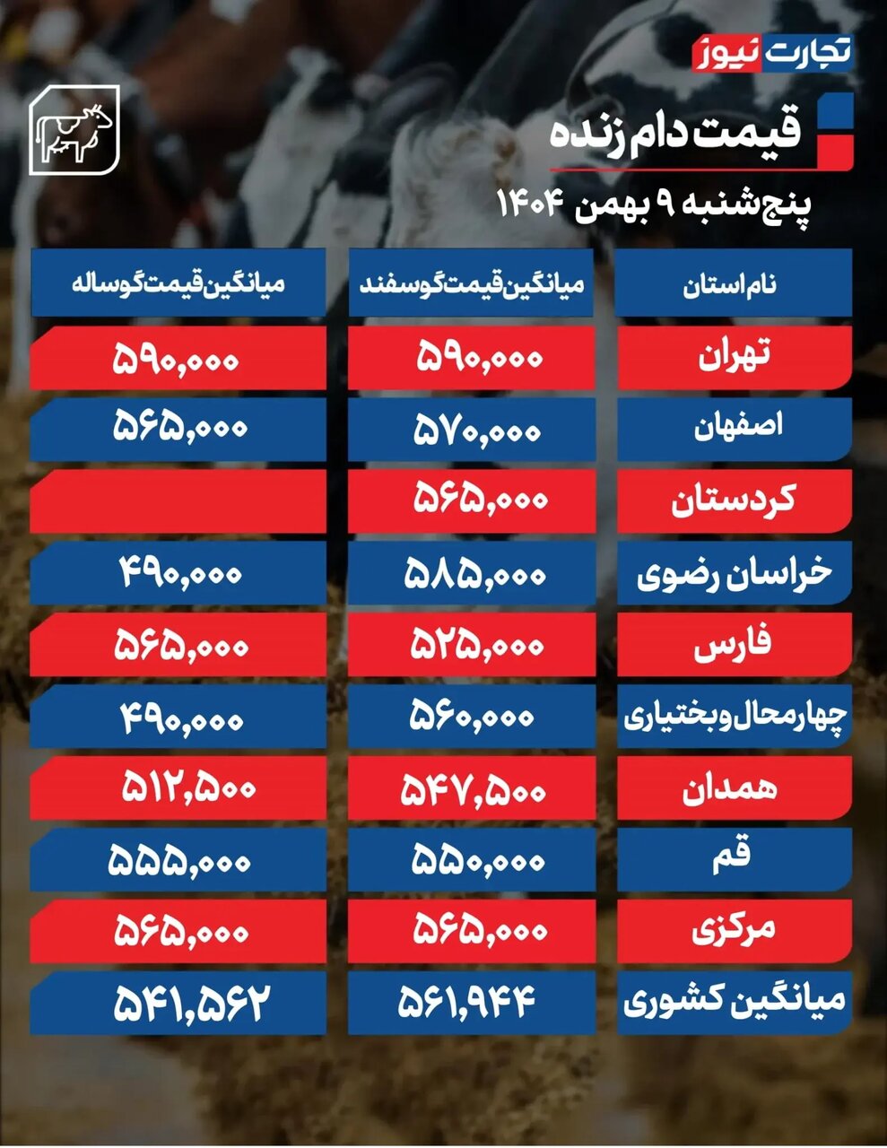 قیمت جدید دام زنده امروز ۹ بهمن ۱۴۰۴/ قیمت گوسفند و گوساله چه تغییری کرد؟ + جدول