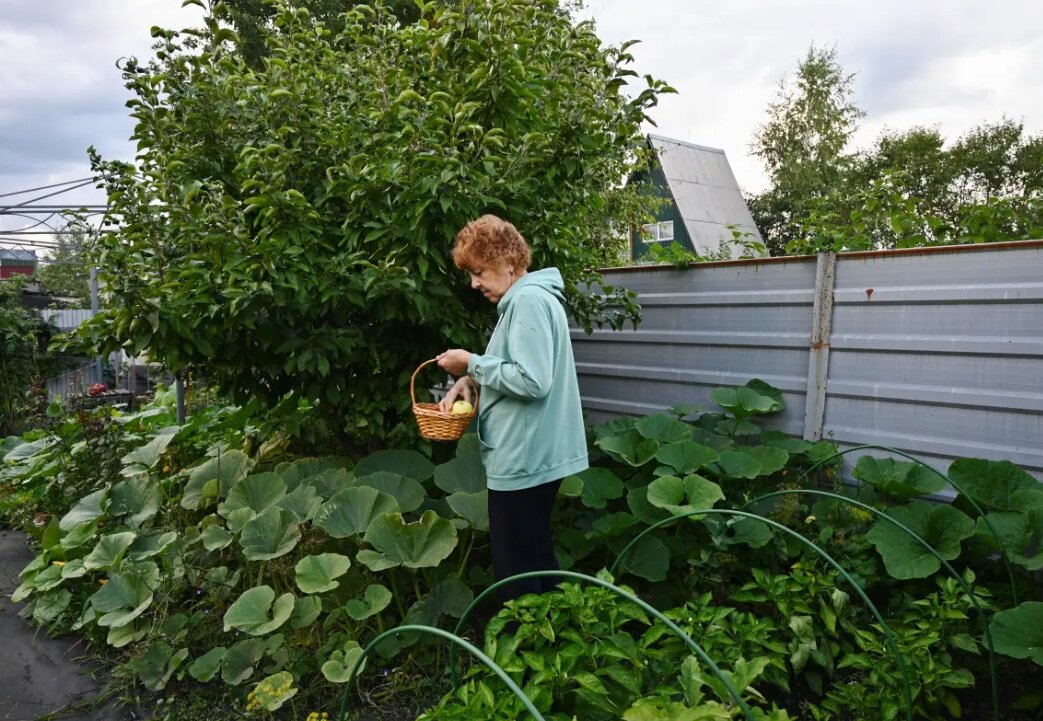 پیشنهاد جدید و جالب دانشمندان برای پیشگیری از آلزایمر