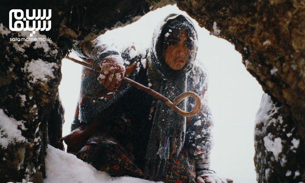 تصاویری از گلشیفته فراهانی و پارسا پیروزفر ۲۲ سال پیش در یک فیلم/ عکس