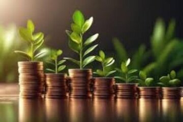 رفتن برکت از زندگی ناشی از چیست؟ رفتن برکت از زندگی ناشی از چیست؟
