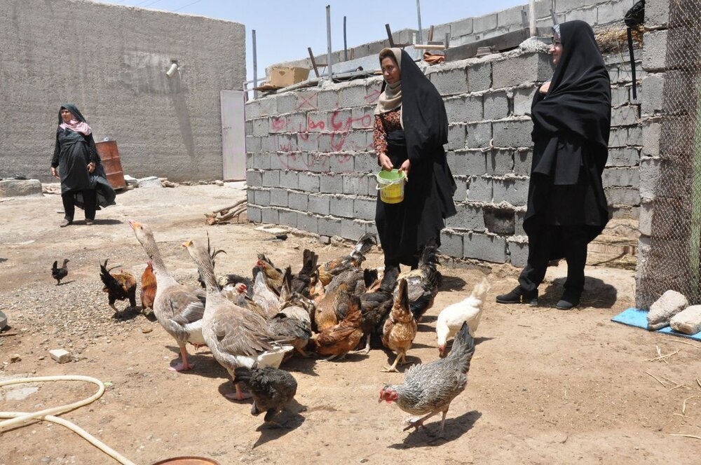 تاریخ واریز پاداش سال نو به کشاورزان اعلام گردید. تاریخ واریز پاداش سال نو به کشاورزان اعلام گردید.
