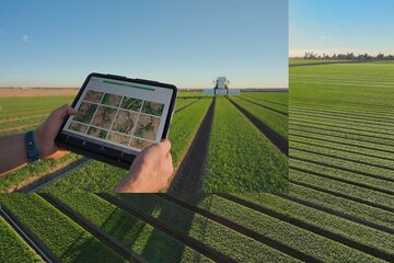 هوش مصنوعی مزرعه‌دار