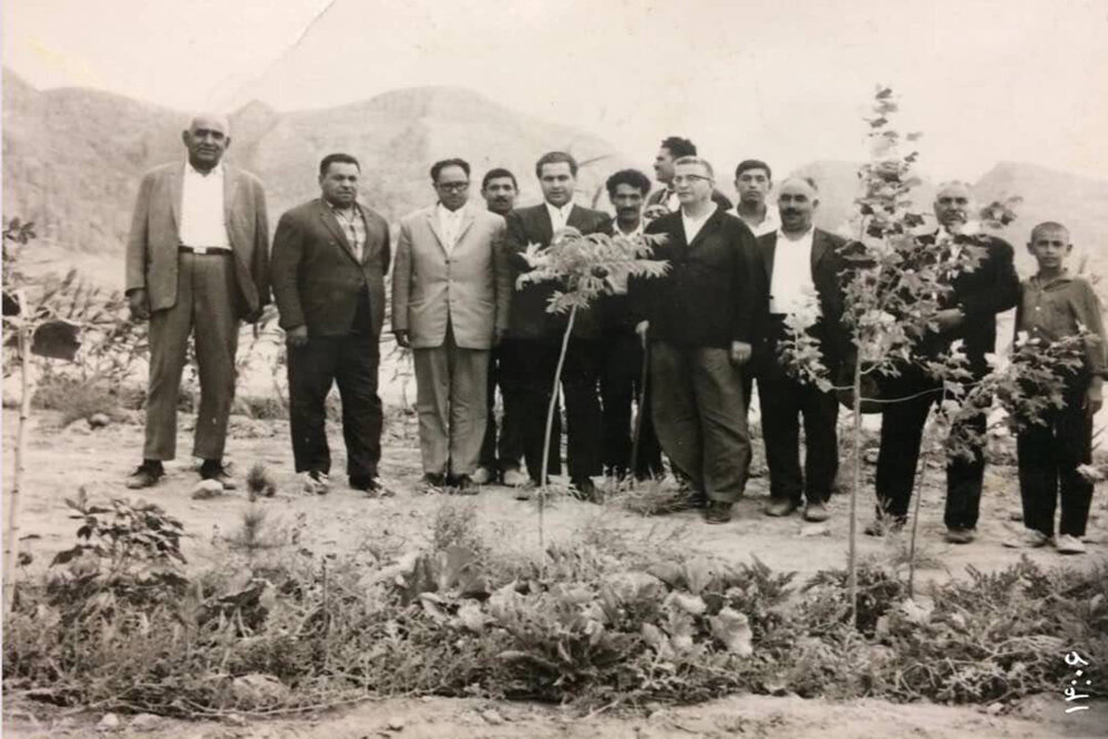 مروری بر چالشهای اتحاد و حفاظت از محیط زیست؛ تلاشها برای نجات درختان شهری چگونه پیشرفت کرده است؟ مروری بر چالشهای اتحاد و حفاظت از محیط زیست؛ تلاشها برای نجات درختان شهری چگونه پیشرفت کرده است؟