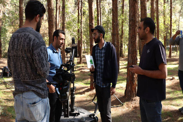 پرداختن به دغدغه اتحاد و محیط زیست؛ چگونه درختان شهر را نجات دادند؟