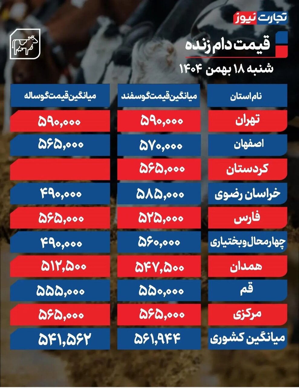 قیمت جدید دام زنده امروز ۱۸ بهمن ۱۴۰۴/ قیمت گوسفند و گوساله چه تغییری کرد؟ + جدول