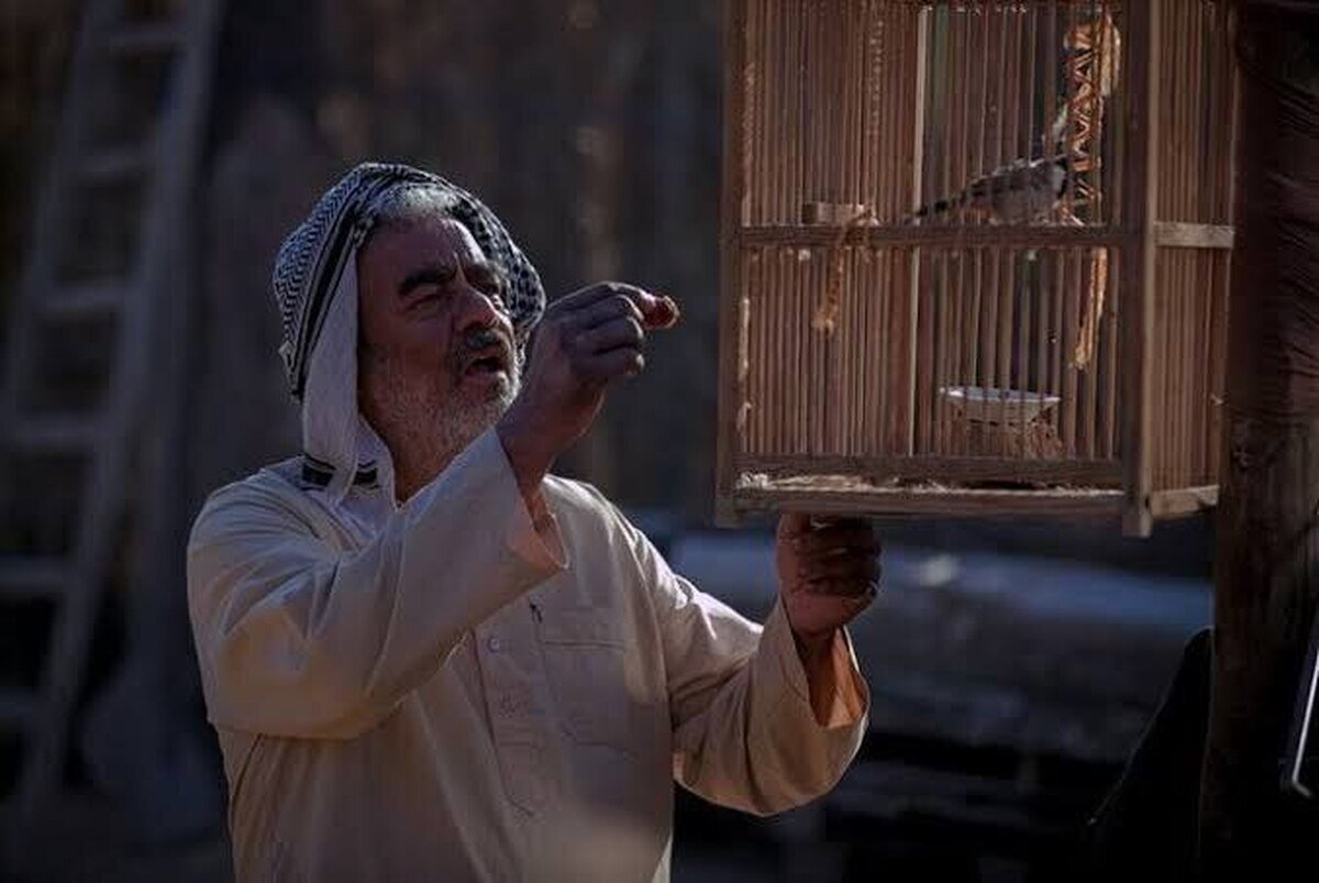 آیا سینمای ایران در دام پیام و کلیشه گرفتار شده است/نگاهی به«حاشیه»،«پل» و «کافه سلطان»