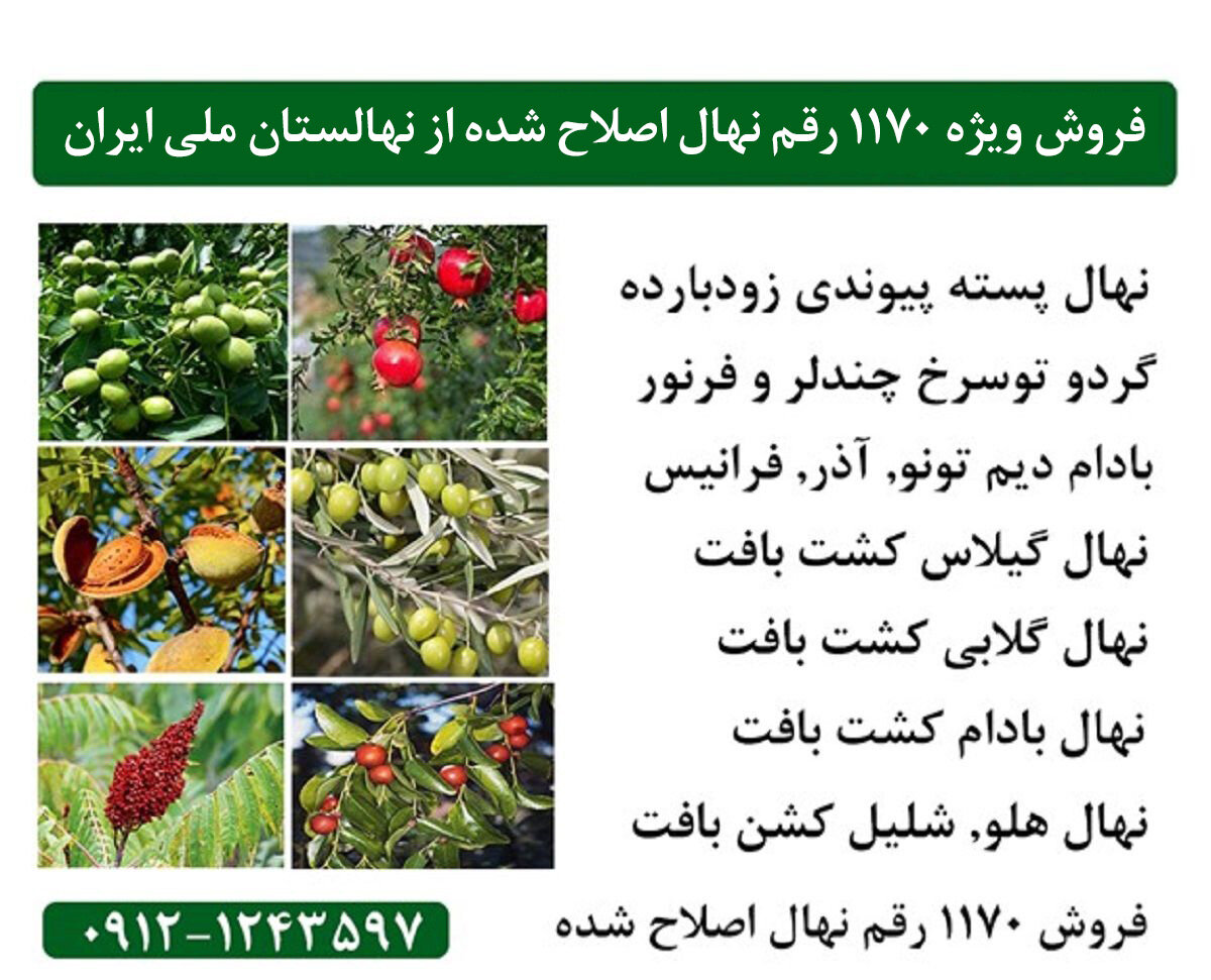 جشنواره فروش ۱۱۷۰ رقم نهال تجاری