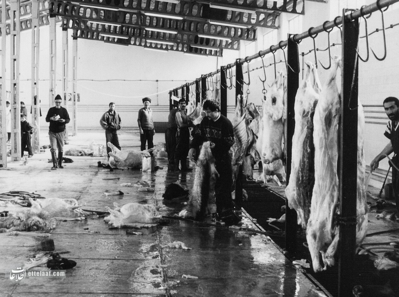 بوی ناخوشایند کشتارگاه تهران موجب نارضایتی مردم شد؛ بهمن ۱۳۴۴ + اطلاعات تکمیلی بوی ناخوشایند کشتارگاه تهران موجب نارضایتی مردم شد؛ بهمن ۱۳۴۴ + اطلاعات تکمیلی