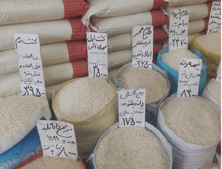 نرخ تازه برنج در تاریخ جمعه ۲۴ بهمن ماه: قیمت برنجهای ایرانی، هندی و پاکستانی به ازای هر کیلوگرم چقدر است؟ نرخ تازه برنج در تاریخ جمعه ۲۴ بهمن ماه: قیمت برنجهای ایرانی، هندی و پاکستانی به ازای هر کیلوگرم چقدر است؟