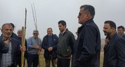 غرس ۷۰۰۰ اصله نهال در شهرستان جویبار