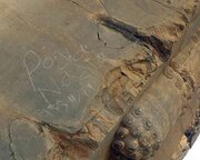 از ثبت جهانی تا پیگرد قضایی؛ ماجرای یک یادگاری پرهزینه