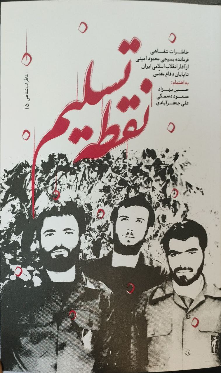 من به ترور شاه در کاخ مرمر هم فکر کردم/ مطالعه آثار عشقی مرا به سیاست مبتلا کرد