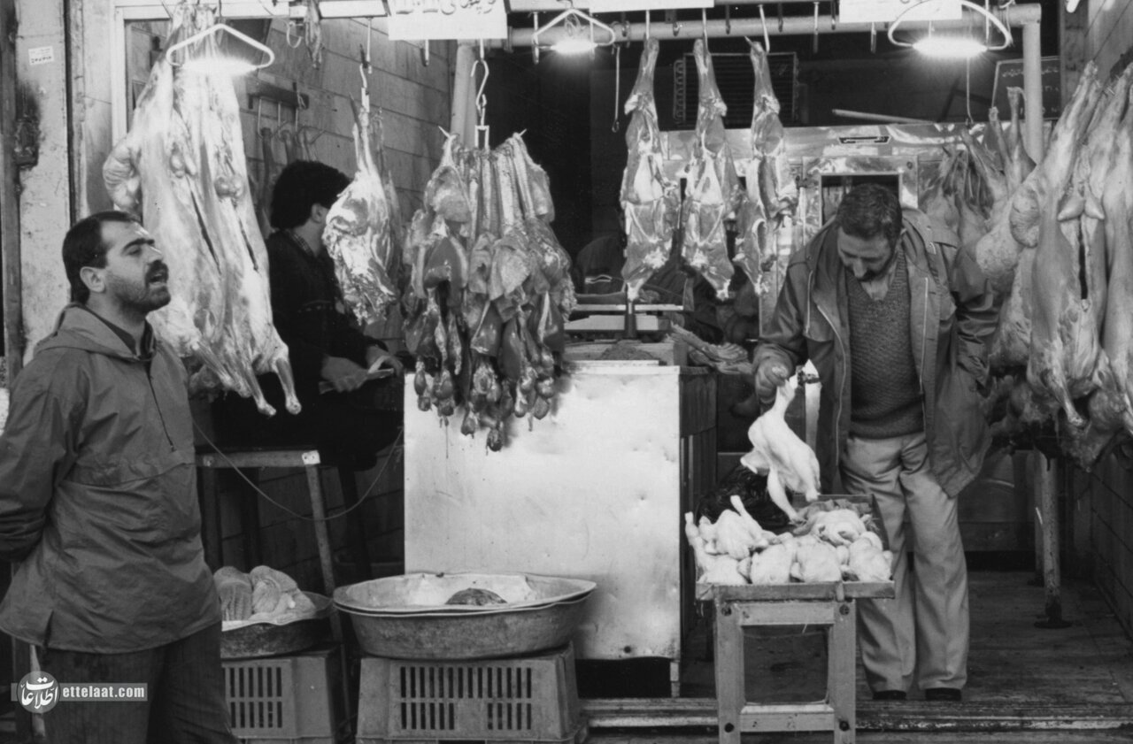 افزایش مصرف گوشت گاو در سفرههای ایرانی به جای گوشت گوسفند؛ دی ماه ۱۳۴۴ + جزئیات افزایش مصرف گوشت گاو در سفرههای ایرانی به جای گوشت گوسفند؛ دی ماه ۱۳۴۴ + جزئیات