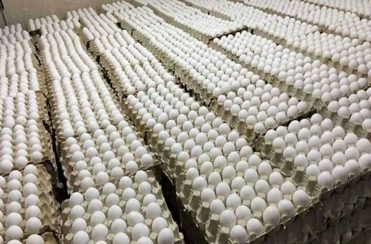 انتقاد روزنامه نزدیک به اصولگرایان از کاهش چشمگیر قیمت تخممرغ: بهای آن به زیر هزینه خوراک مرغ رسیده است. انتقاد روزنامه نزدیک به اصولگرایان از کاهش چشمگیر قیمت تخممرغ: بهای آن به زیر هزینه خوراک مرغ رسیده است.