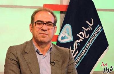 هشدار بهداشت در ایلام: محموله مرغ و آلایش غیرقابل مصرف از بازار جمعآوری شد هشدار بهداشت در ایلام: محموله مرغ و آلایش غیرقابل مصرف از بازار جمعآوری شد