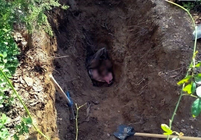 افشای جنایت عاشقانه در تهران؛ جسد سوخته پس از ۴ سال کشف شد/ تصاویر