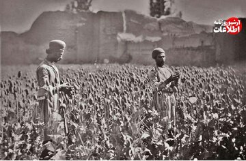 قیمت دولتی تریاک و شیره اعلام شد؛ بهمن ۱۳۳۴ + جزئیات