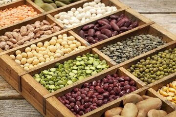 رئیس انجمن حبوبات: قیمت حبوبات تا آخر سال ثابت میماند رئیس انجمن حبوبات: قیمت حبوبات تا آخر سال ثابت میماند