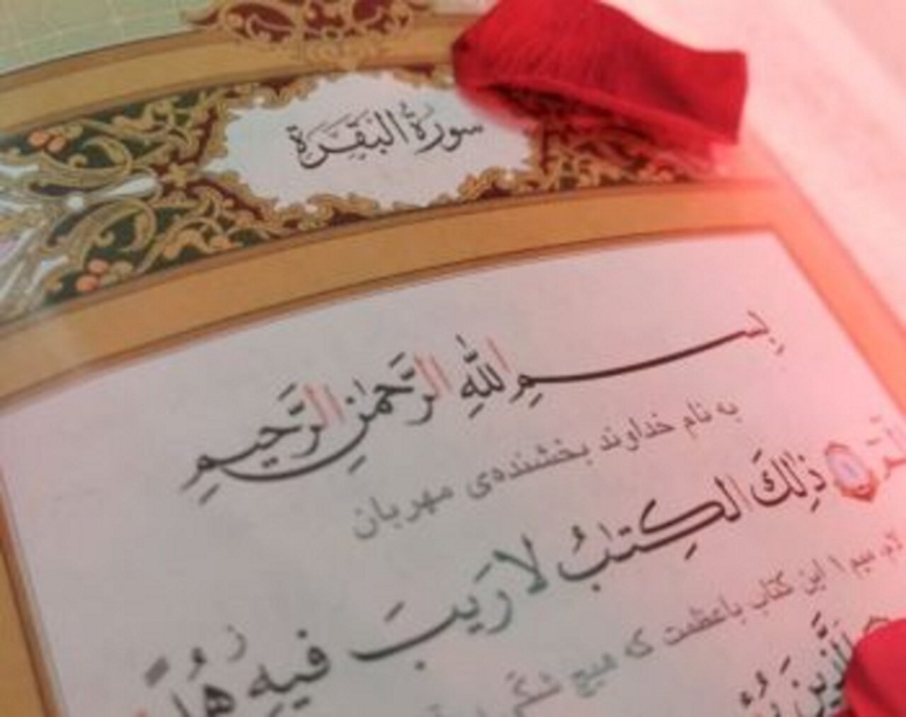 خواص شگفتانگیز سوره بقره: از دور کردن شیطان تا گشایش کار و افزایش روزی