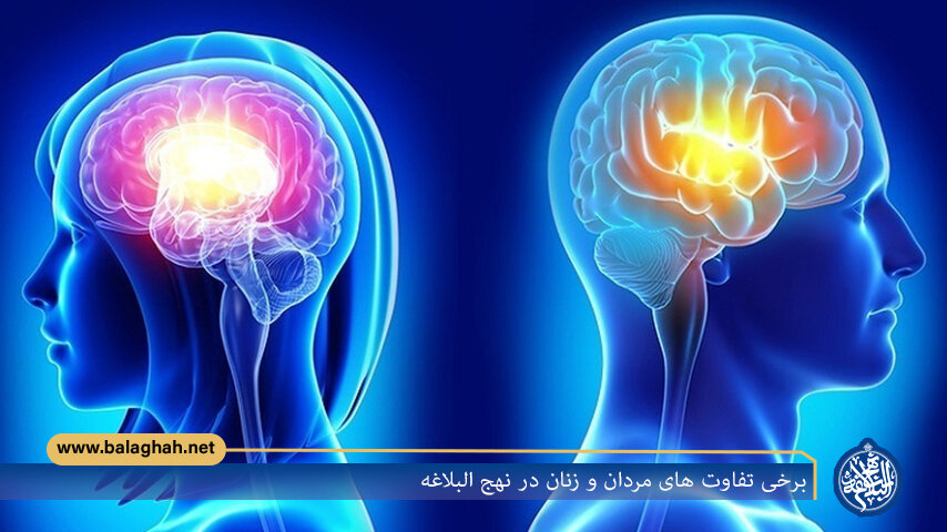 زن و مرد در نهج‌البلاغه؛ تفاوت در ویژگی‌ها، برابری در کرامت